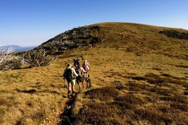 Great Alpine Walk - 7 Days